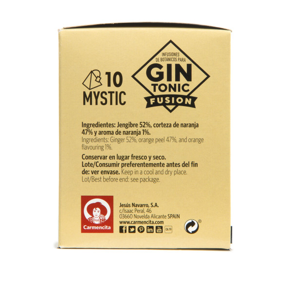 Ginfusion mystic 10 s