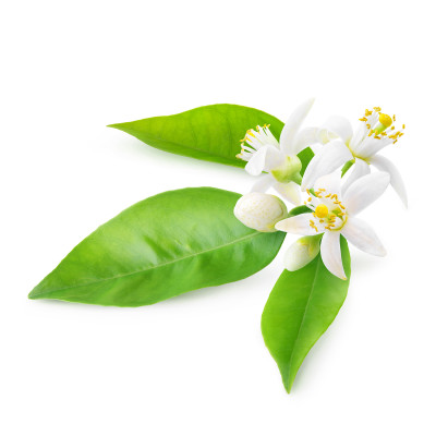 Aroma de agua de azahar