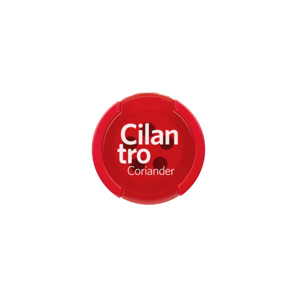 Cilantro semillas