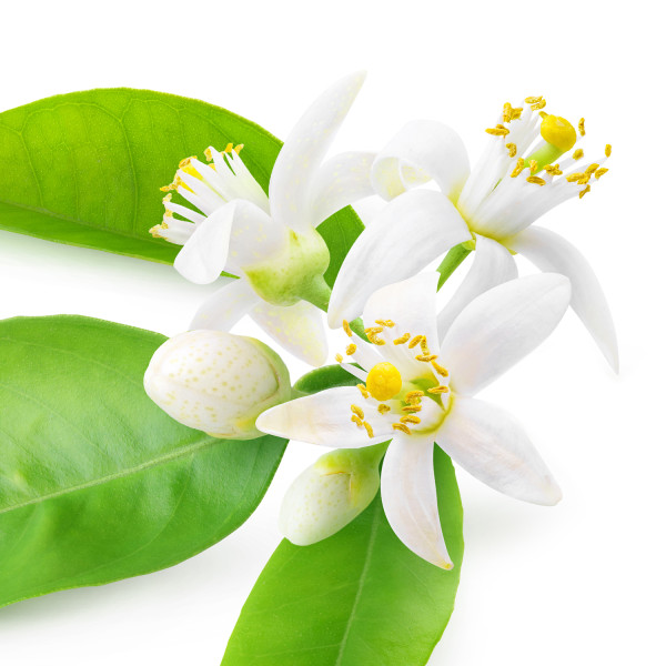 Aroma de agua de azahar