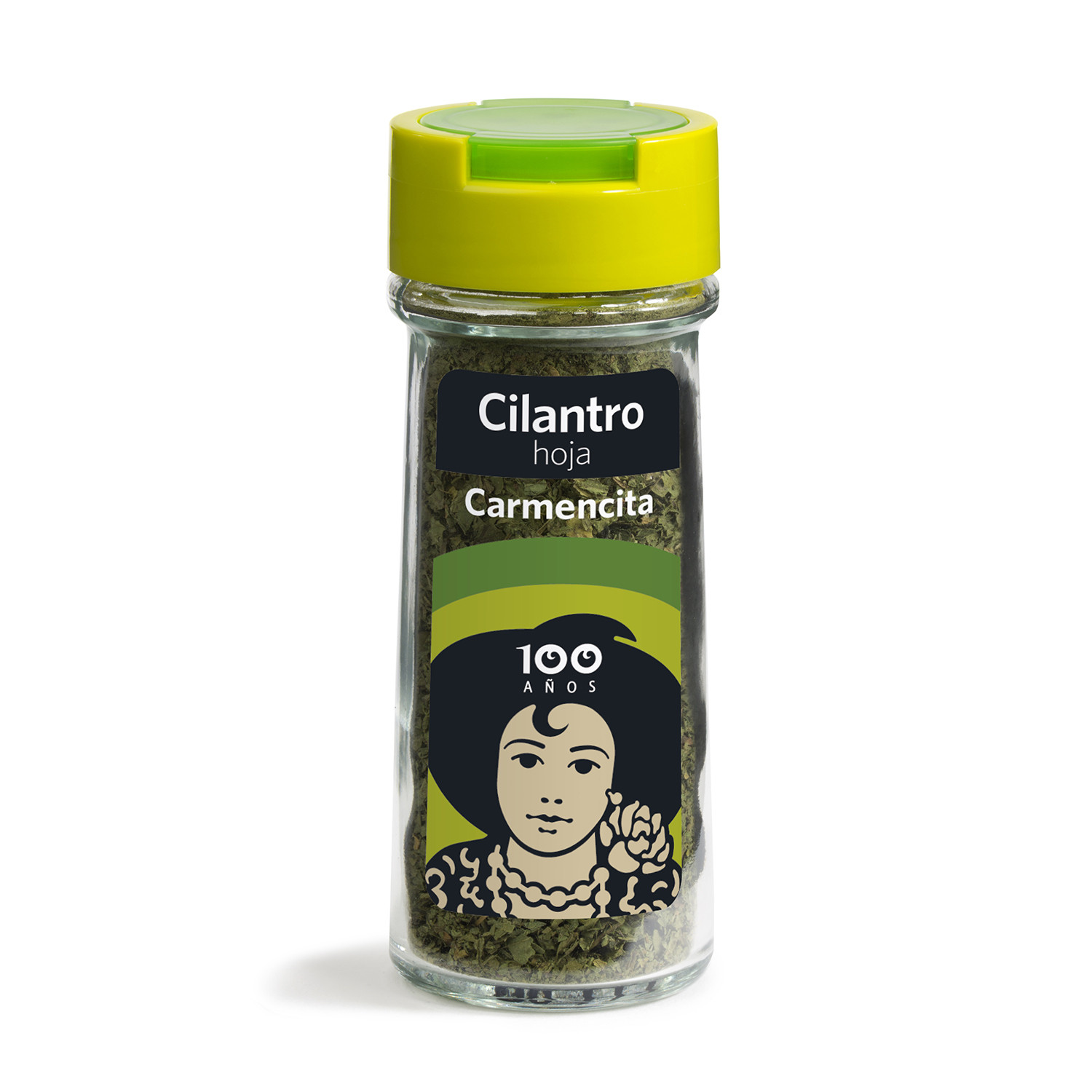 cilantro-hojas-2