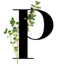 P pebrella@2x